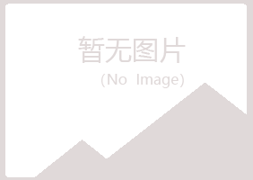 岷县埋没化学有限公司